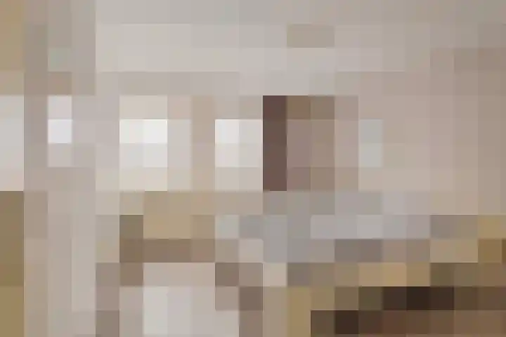 Tuinhaversveld 3 Grubbenvorst thumbnail 25