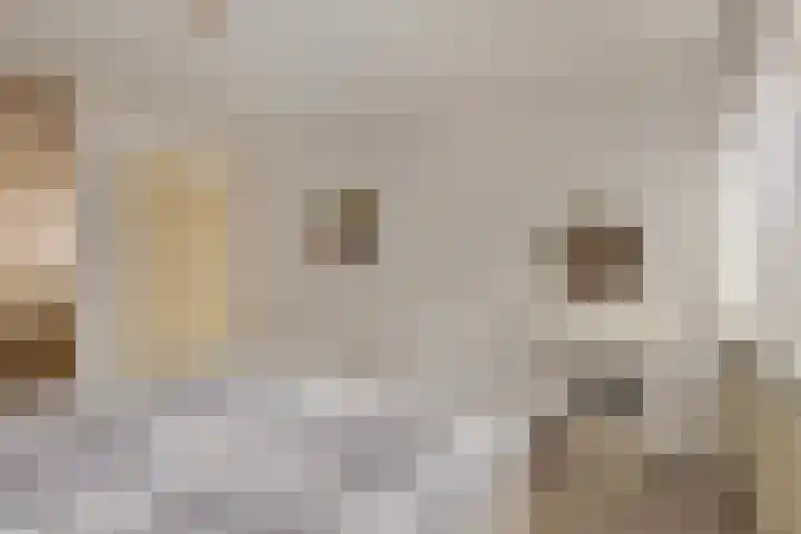 Tuinhaversveld 3 Grubbenvorst thumbnail 26
