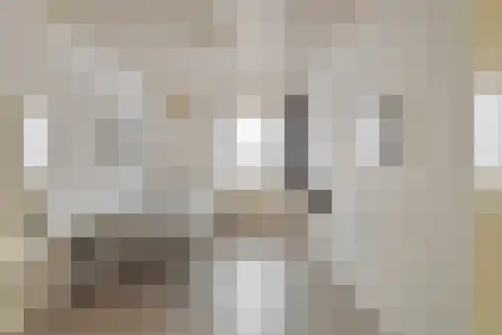 Tuinhaversveld 3 Grubbenvorst thumbnail 30