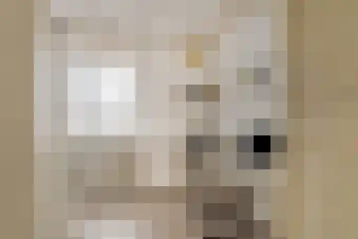 Tuinhaversveld 3 Grubbenvorst thumbnail 32