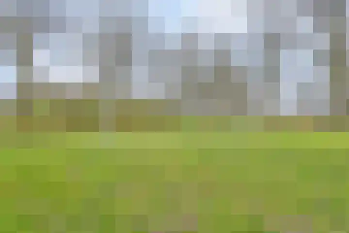 Tuinhaversveld 3 Grubbenvorst thumbnail 41