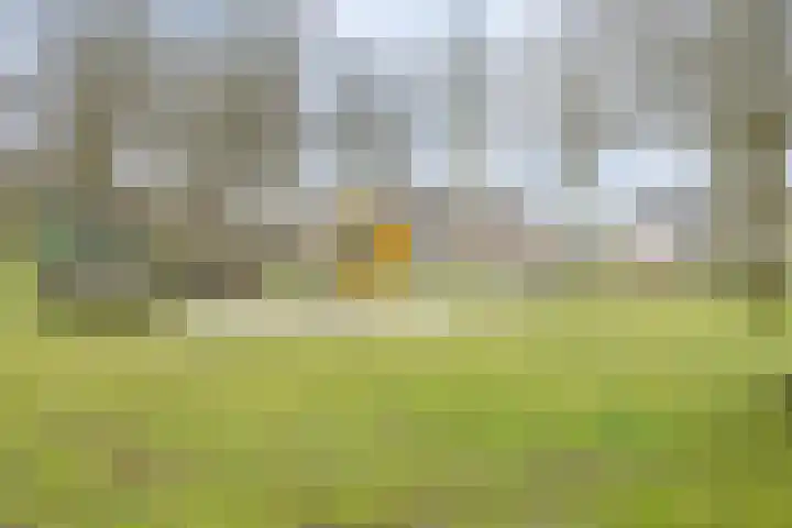Tuinhaversveld 3 Grubbenvorst thumbnail 42