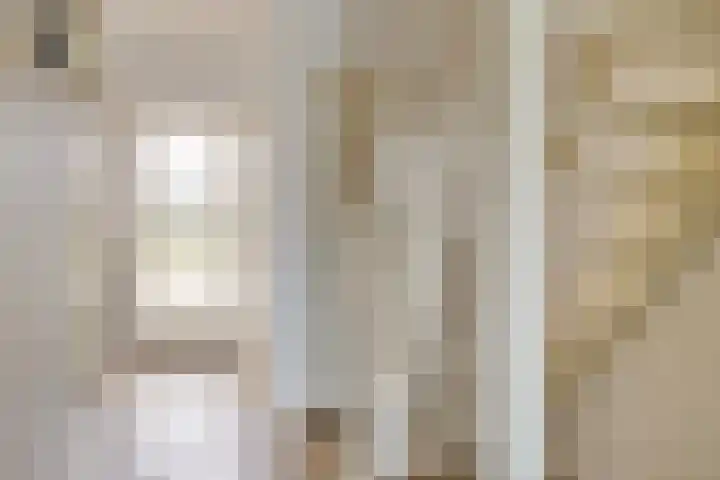 Tuinhaversveld 3 Grubbenvorst thumbnail 6
