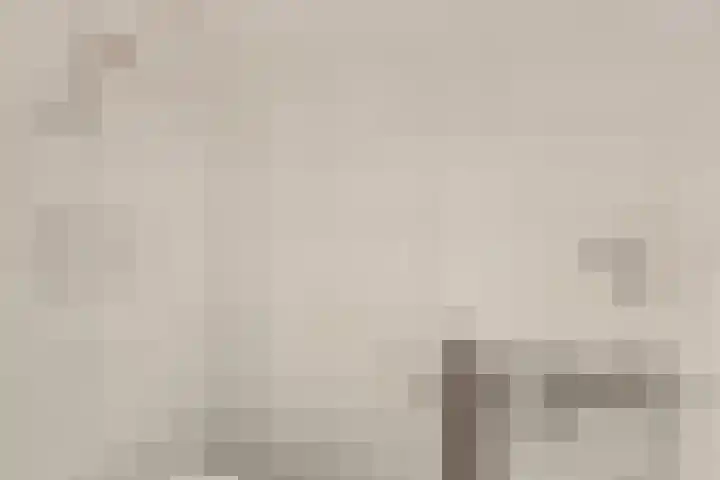 Tuinhaversveld 3 Grubbenvorst thumbnail 7