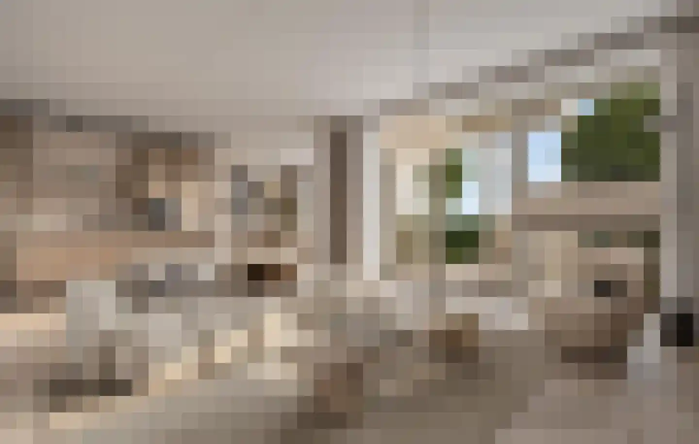 Tuinhommel 2 's-Gravenzande thumbnail 4