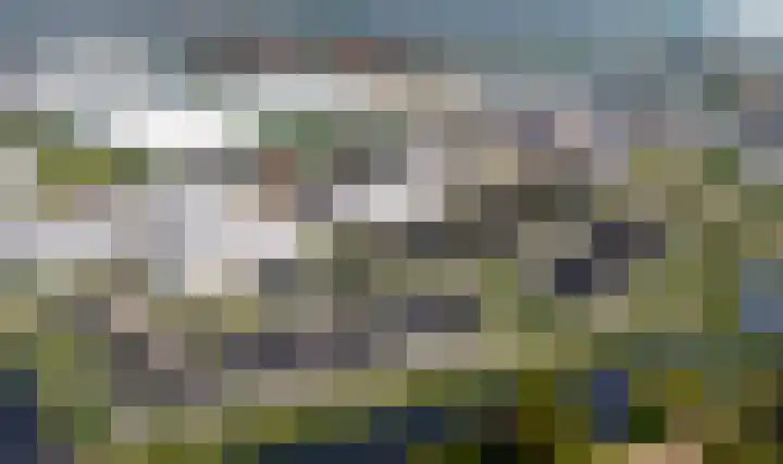 Tuinhommel 22 's-Gravenzande thumbnail 5