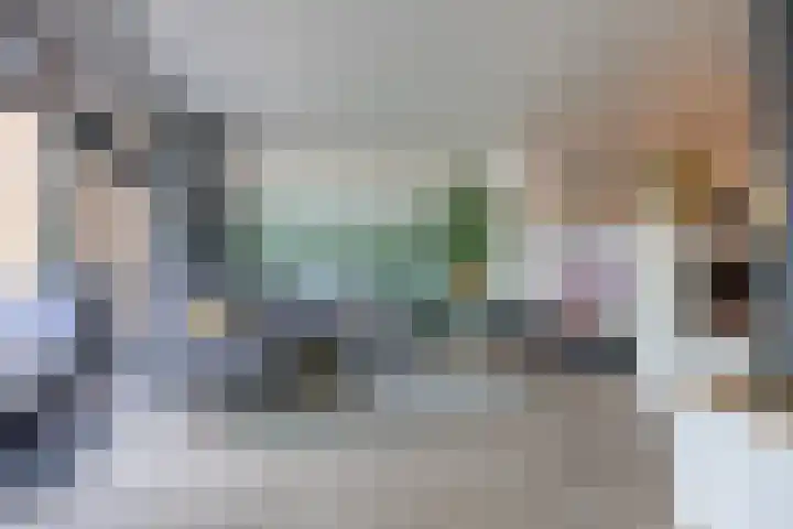 Tuinhommel 7 Krommenie thumbnail 11
