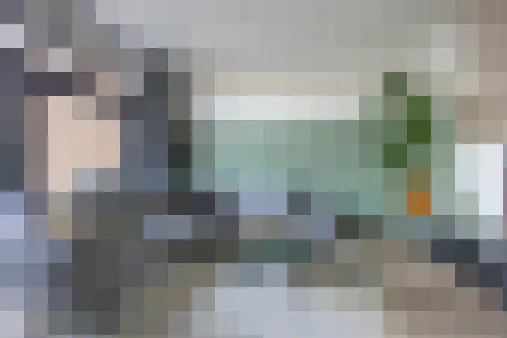 Tuinhommel 7 Krommenie thumbnail 12