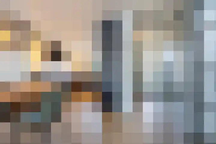Tuinhommel 7 Krommenie thumbnail 18