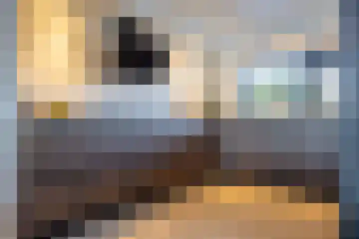 Tuinhommel 7 Krommenie thumbnail 21
