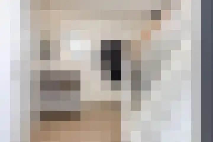 Tuinhommel 7 Krommenie thumbnail 23