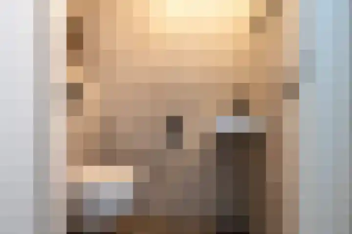 Tuinhommel 7 Krommenie thumbnail 24