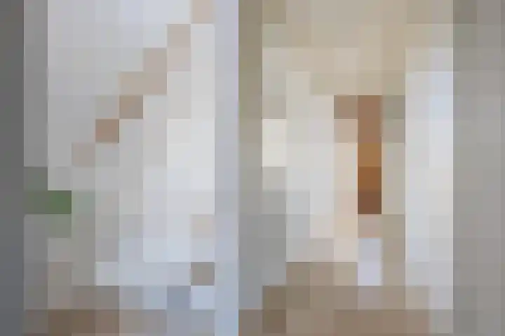 Tuinhommel 7 Krommenie thumbnail 25