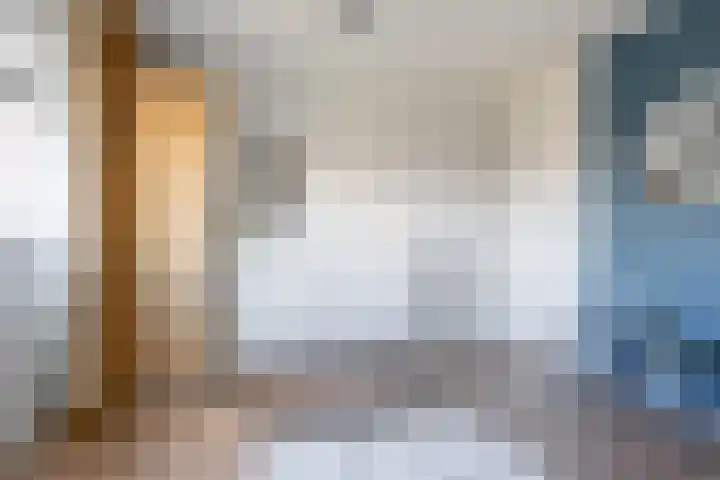 Tuinhommel 7 Krommenie thumbnail 28
