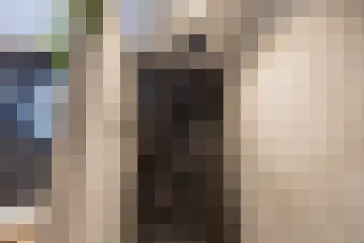 Tuinhommel 7 Krommenie thumbnail 33