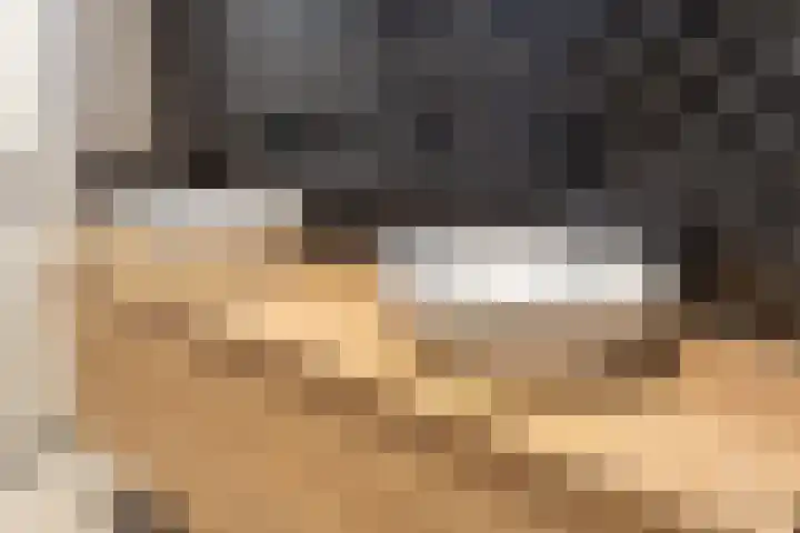 Tuinhommel 7 Krommenie thumbnail 34