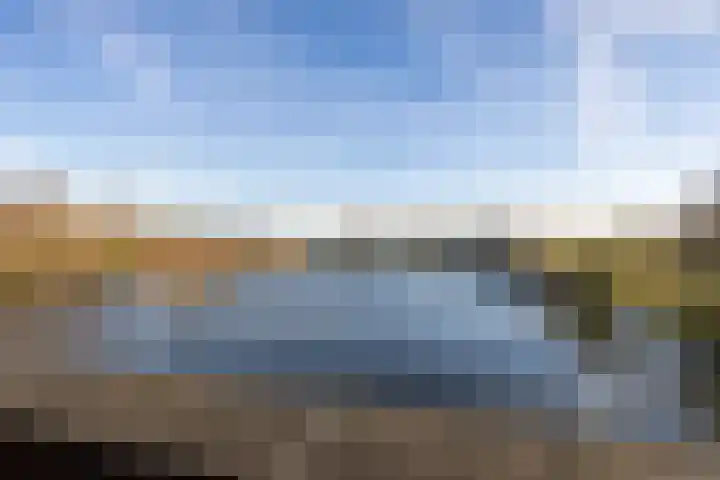 Tuinhommel 7 Krommenie thumbnail 37