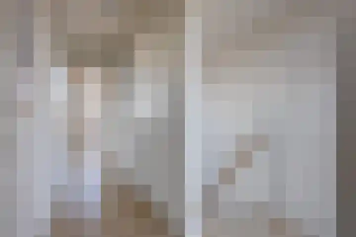 Tuinhommel 7 Krommenie thumbnail 38