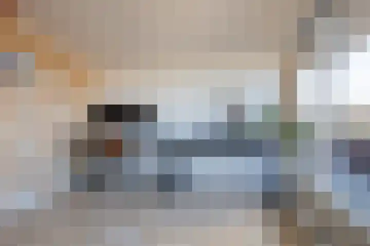 Tuinhommel 7 Krommenie thumbnail 41