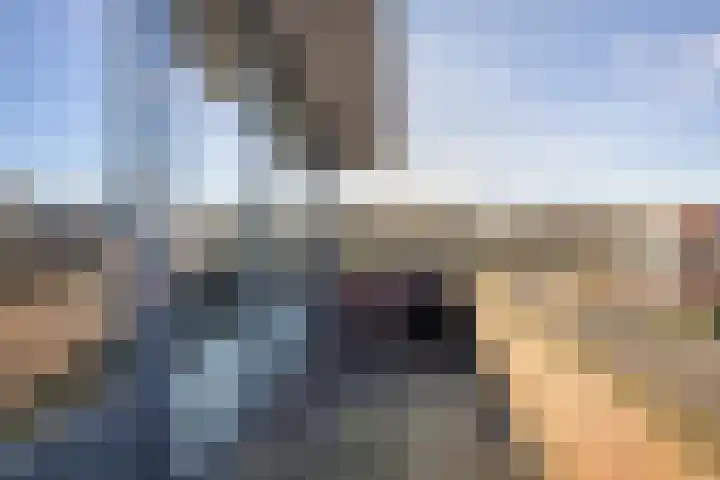 Tuinhommel 7 Krommenie thumbnail 44