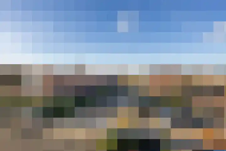 Tuinhommel 7 Krommenie thumbnail 45