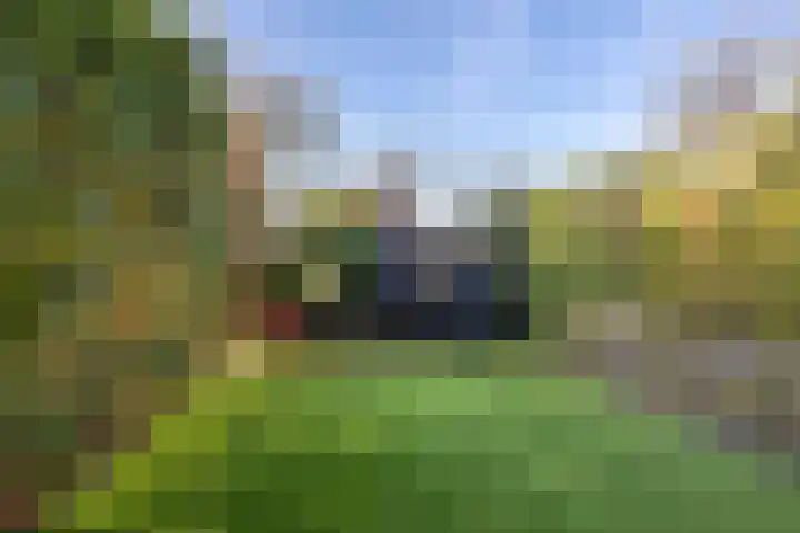 Tuinhommel 7 Krommenie thumbnail 5