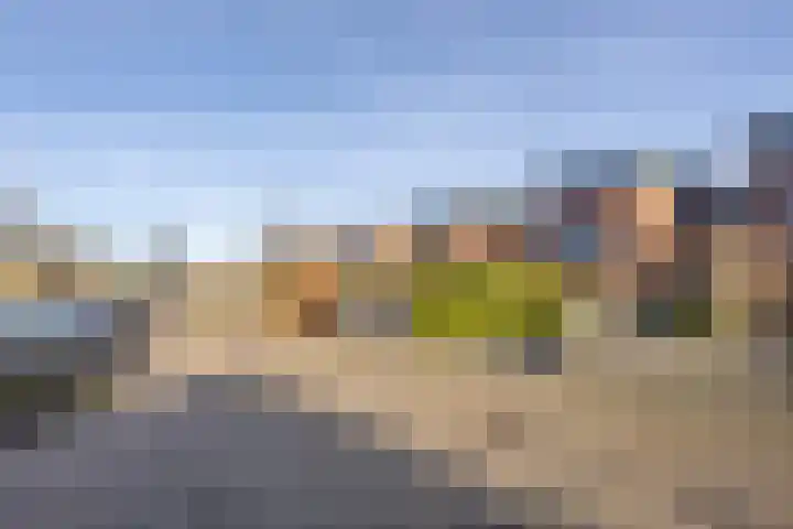 Tuinhommel 7 Krommenie thumbnail 52