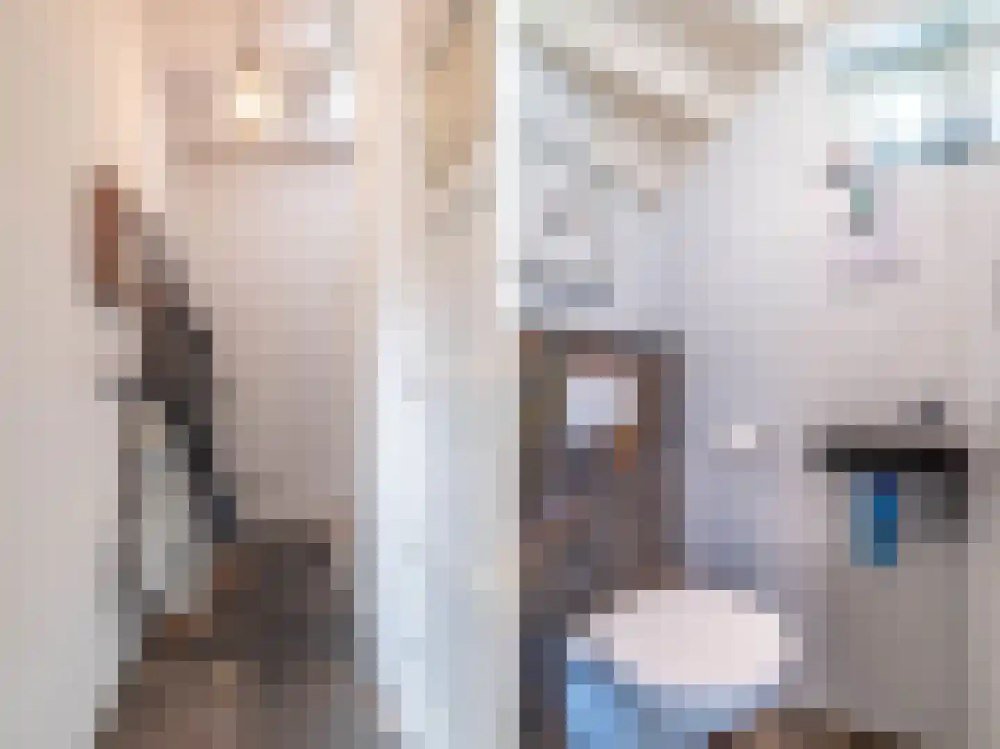 Tuinkade 1 Zaandijk thumbnail 33