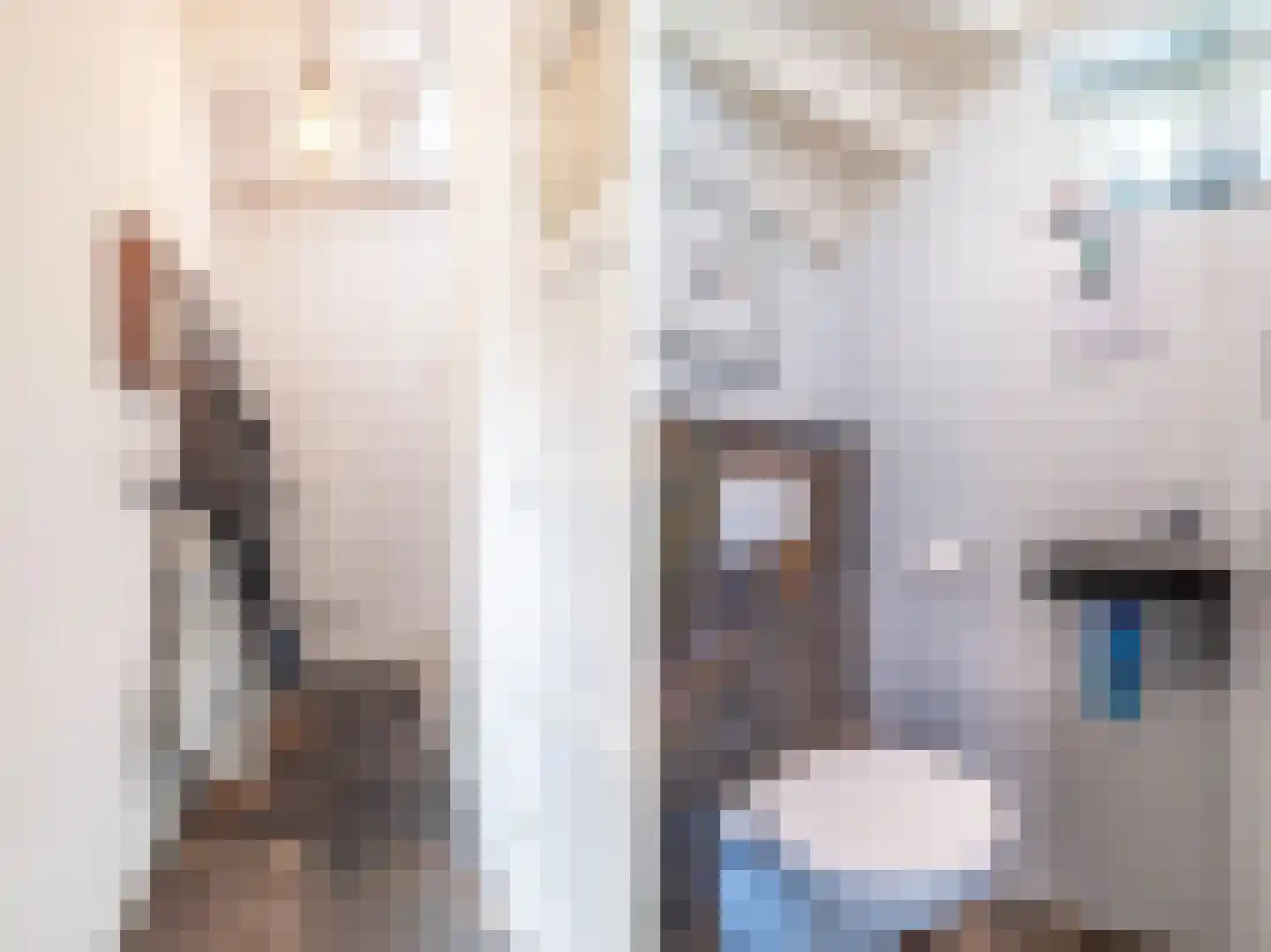 Tuinkade 1 Zaandijk thumbnail 34
