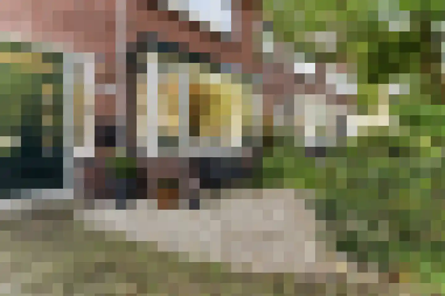 Tuinkade 37 Zaandijk thumbnail 10
