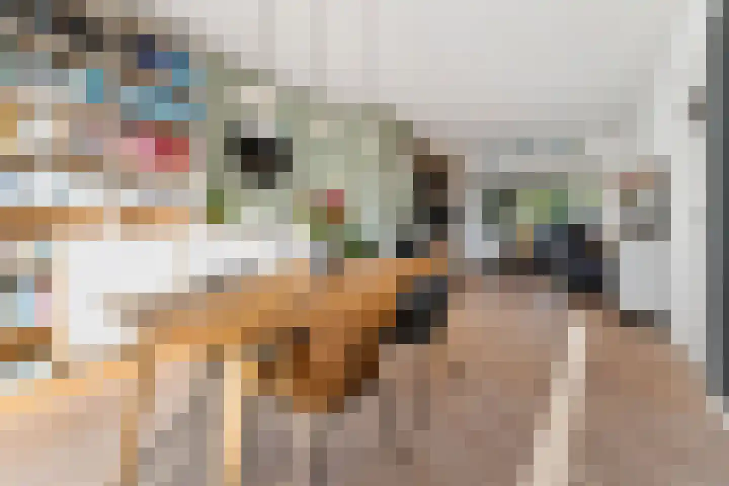 Tuinkade 37 Zaandijk thumbnail 18