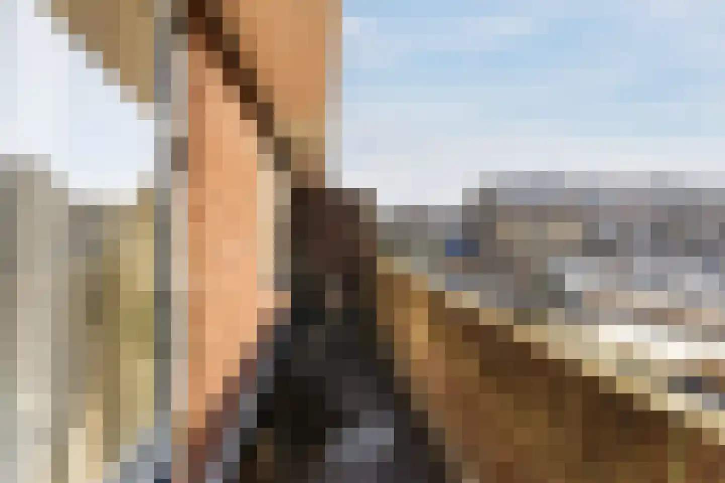 Tuinkade 37 Zaandijk thumbnail 38