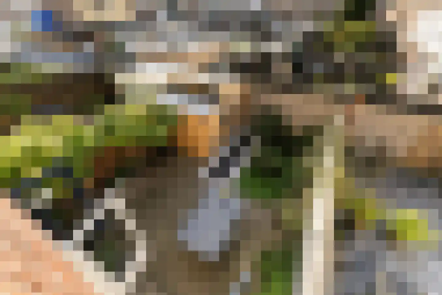 Tuinkade 37 Zaandijk thumbnail 39
