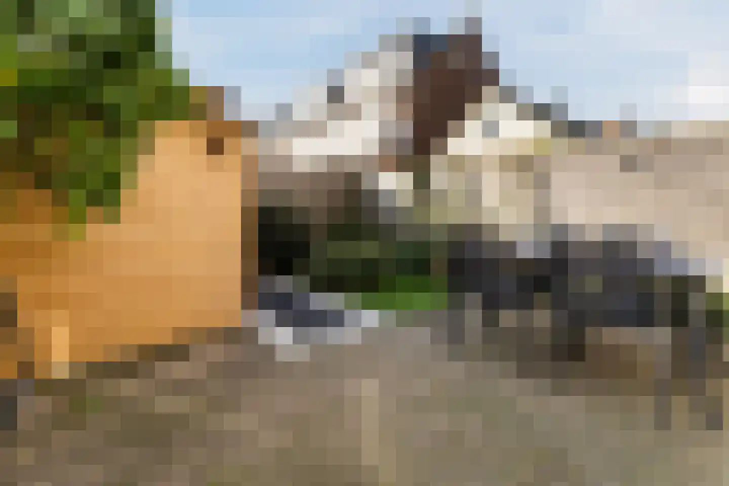 Tuinkade 37 Zaandijk thumbnail 41