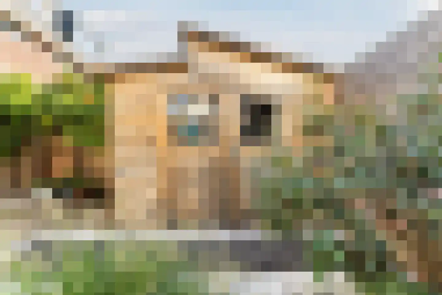 Tuinkade 37 Zaandijk thumbnail 43