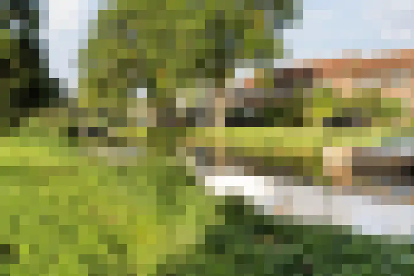 Tuinkade 37 Zaandijk thumbnail 45