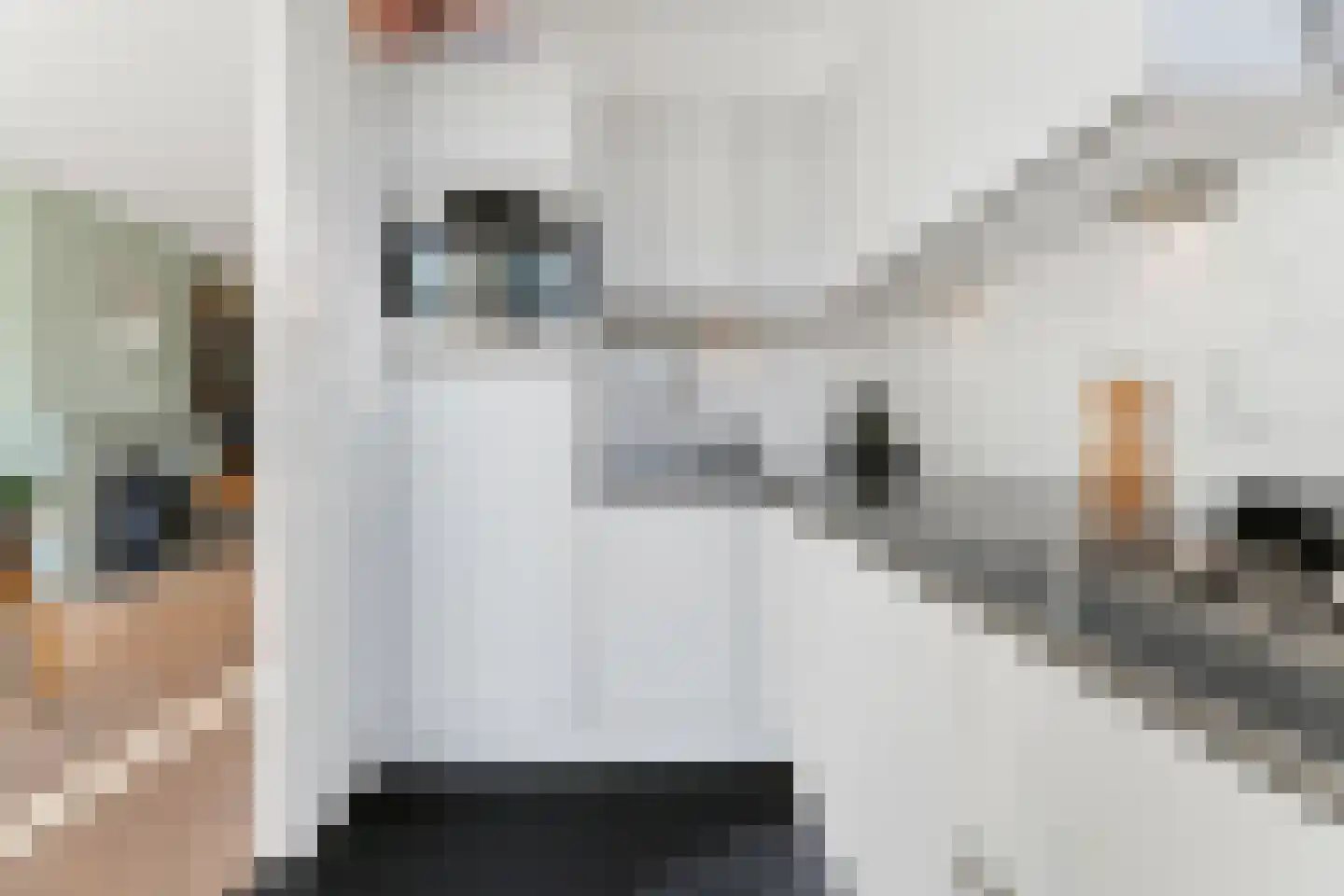Tuinkade 37 Zaandijk thumbnail 6