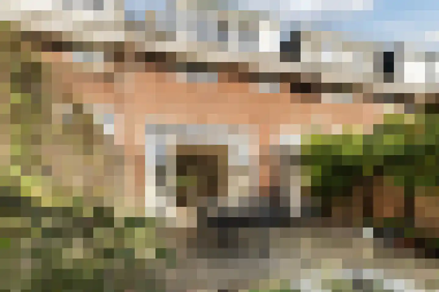 Tuinkade 37 Zaandijk thumbnail 7