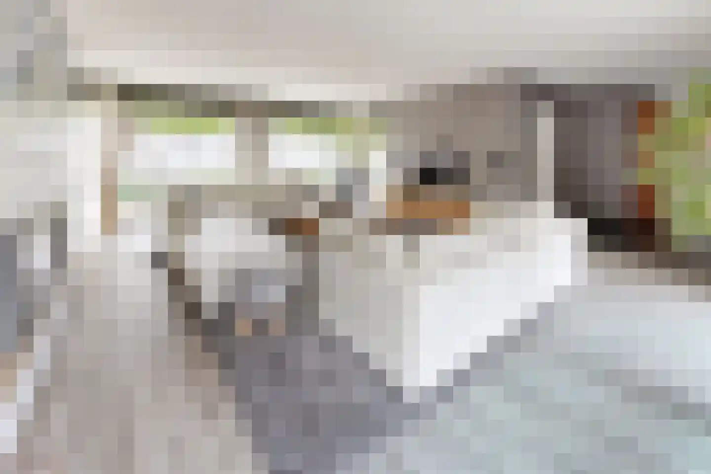 Tuinkers 6 Zevenbergen thumbnail 13
