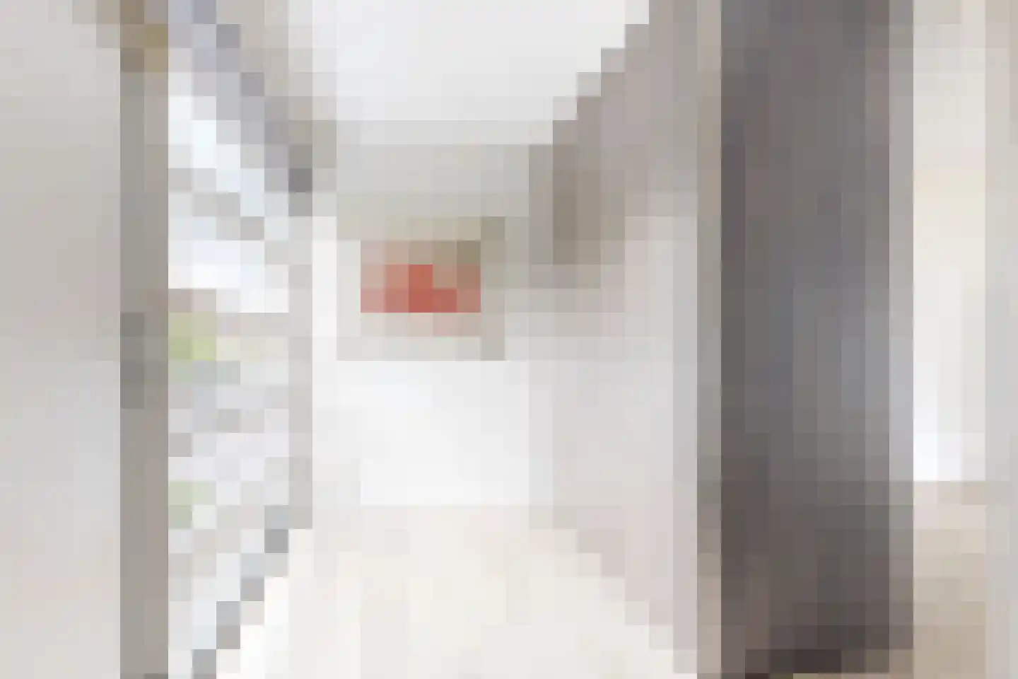 Tuinkers 6 Zevenbergen thumbnail 31