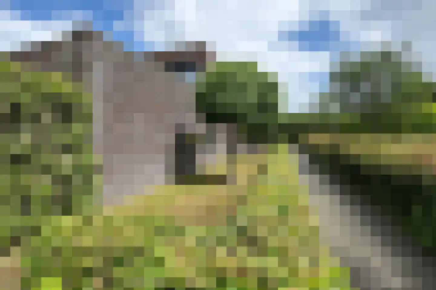 Tuinkers 6 Zevenbergen thumbnail 66