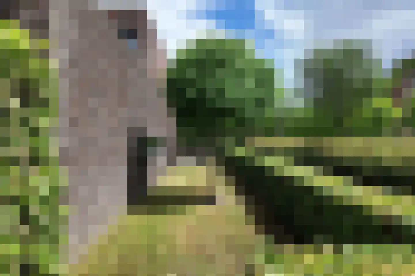 Tuinkers 6 Zevenbergen thumbnail 67