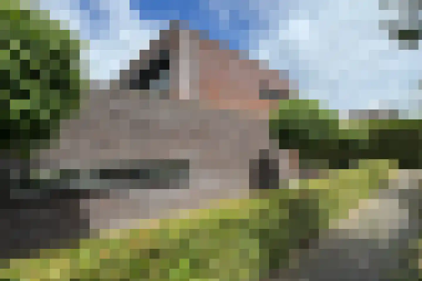 Tuinkers 6 Zevenbergen thumbnail 68