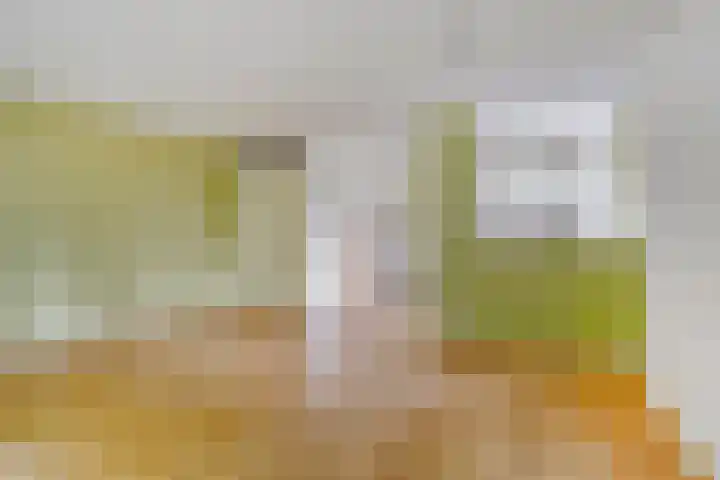Tuinkersstraat 15 Almere thumbnail 15
