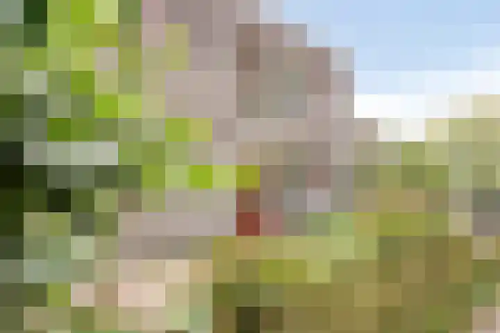 Tuinkersstraat 15 Almere thumbnail 30