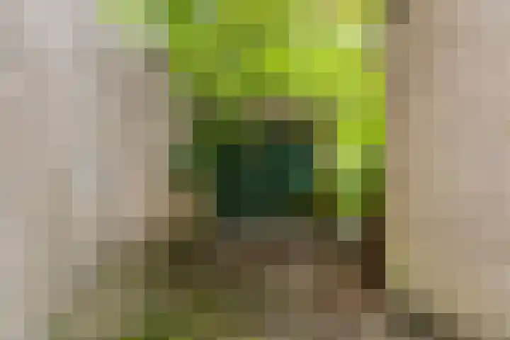 Tuinkersstraat 15 Almere thumbnail 31