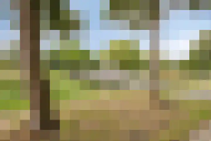 Tuinkersstraat 15 Almere thumbnail 36