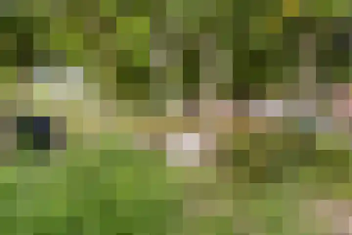 Tuinkersstraat 15 Almere thumbnail 4
