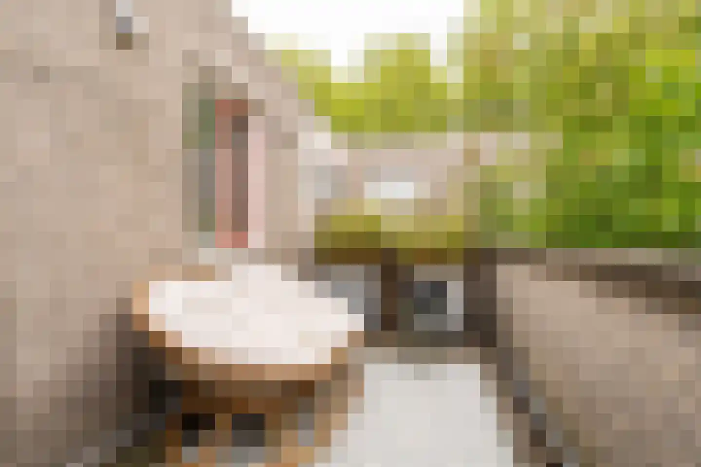 Tuinkersstraat 19 Almere thumbnail 18