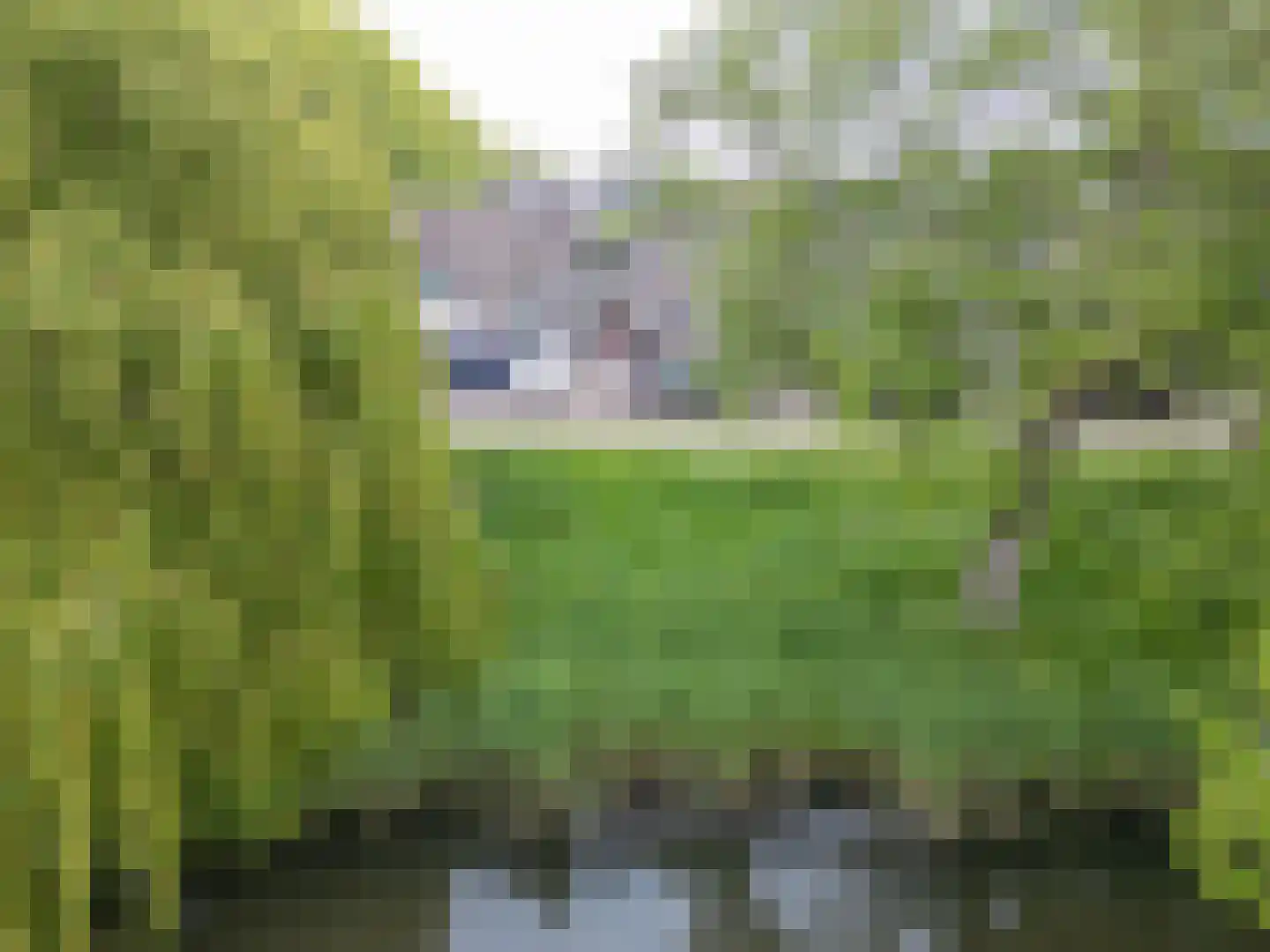 Tuinkersstraat 19 Almere thumbnail 26